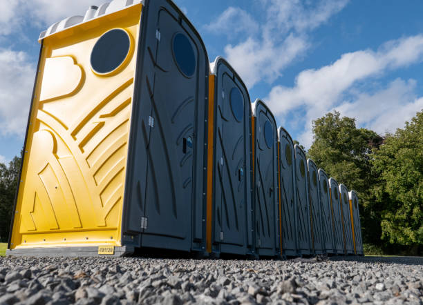 Best Portable Restroom Removal and Pickup  in Edinburg, VA